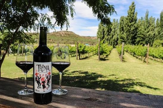 Elaboración de vinos en Bodega Trina