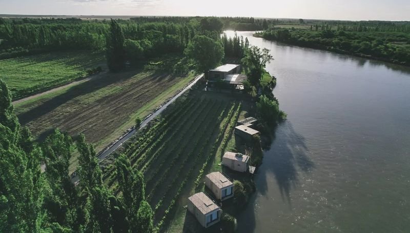 Viñedos de Bodega Trina
