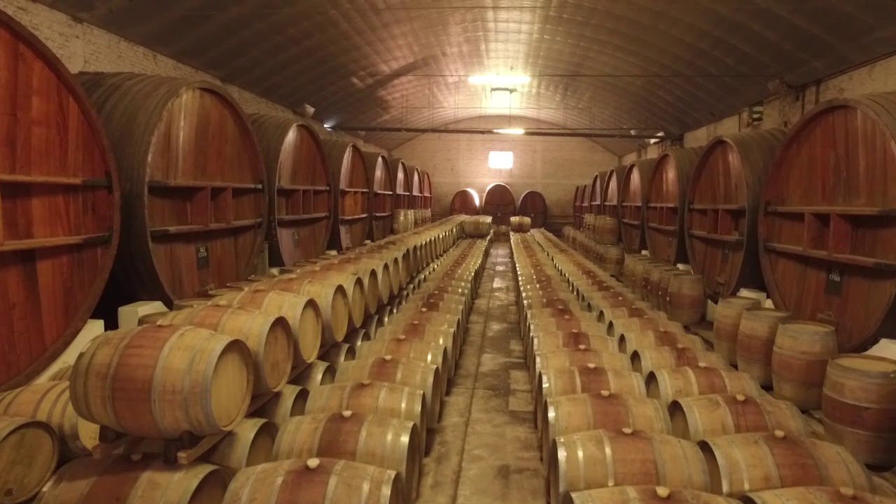 Elaboración en Bodega Humberto Canale
