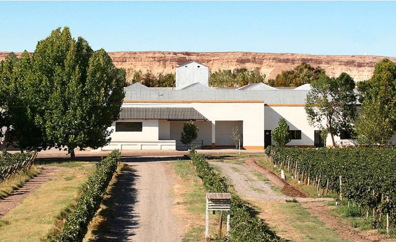 Historia de Bodega Humberto Canale