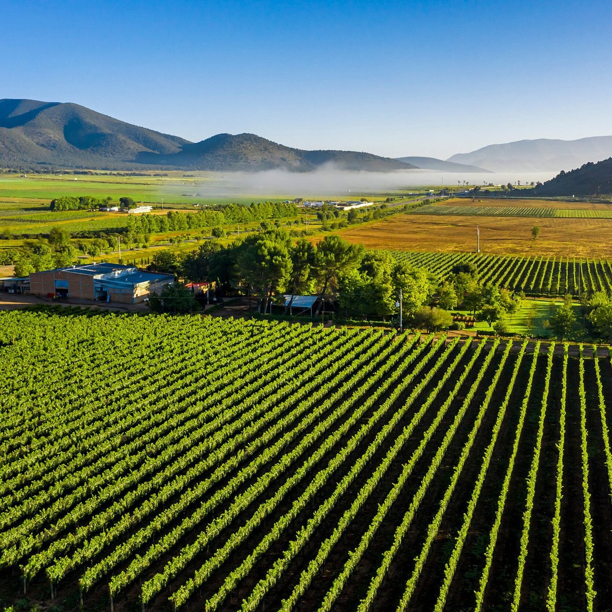 Bodega del Viento