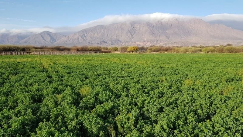 Finca La Elvira