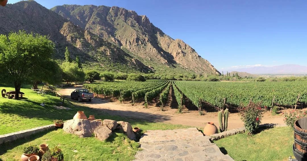 José Luis Mounier / Finca Las Nubes