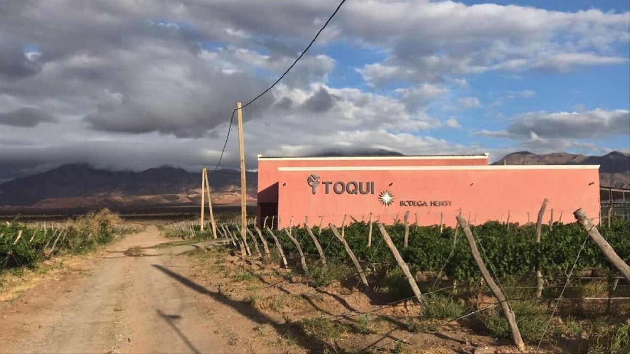 Toqui - Bodegas Hemsy