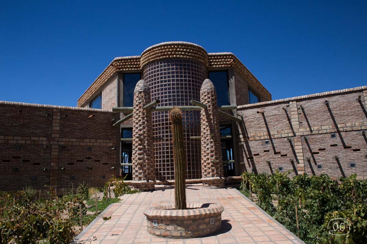Finca Rio Las Arcas / Vinos Adentro