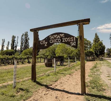 Bodega Chico Zossi