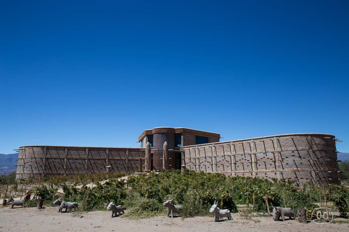 Bodega Las Arcas de Tolombón