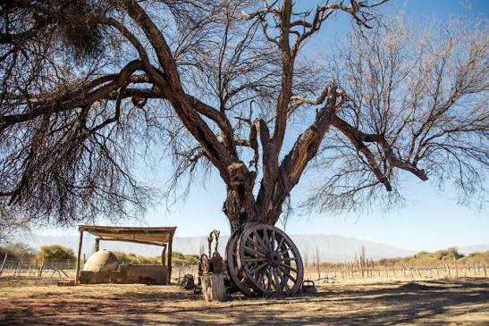 Terruño de Bodega y Estancia Río de Arena