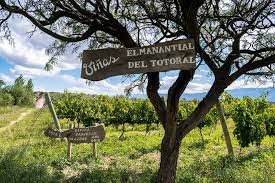 Bodega Vertientes Tintas