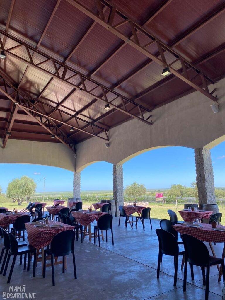 Bodega Border&iacute;o - imagen 2
